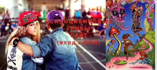 сатива Алексеевка