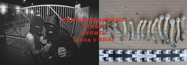 дурь Алзамай