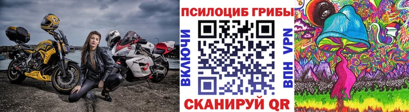 купить наркотики цена  Циолковский  Галлюциногенные грибы Psilocybine cubensis 
